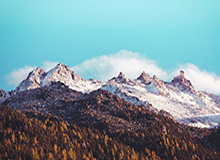 华体会中国官网:官方入口,连接你与每一场热爱的精彩